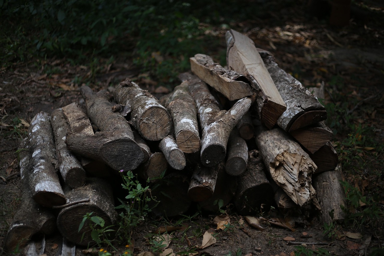 Firewood, wood, coal — Experience the Future of Crypto with Ledger Live