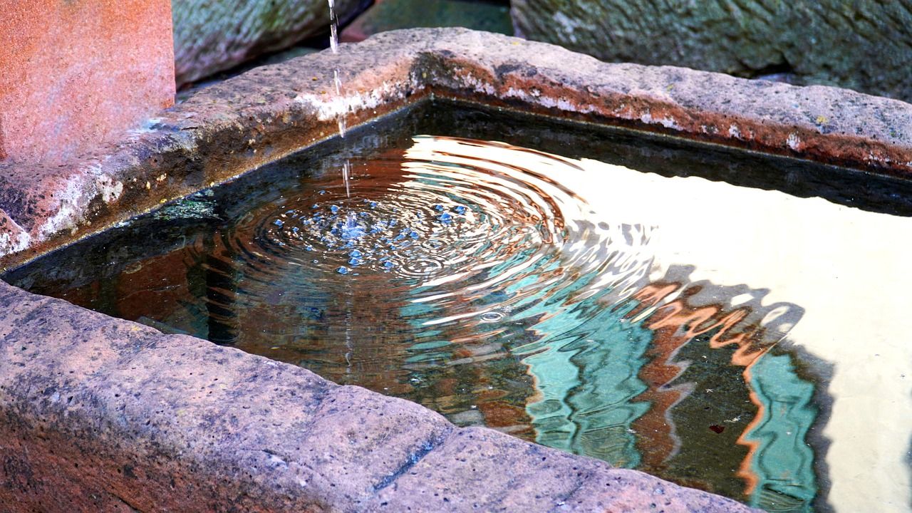 Fountain, nature, water — Explore the Unique Features of Atomic Wallet Today