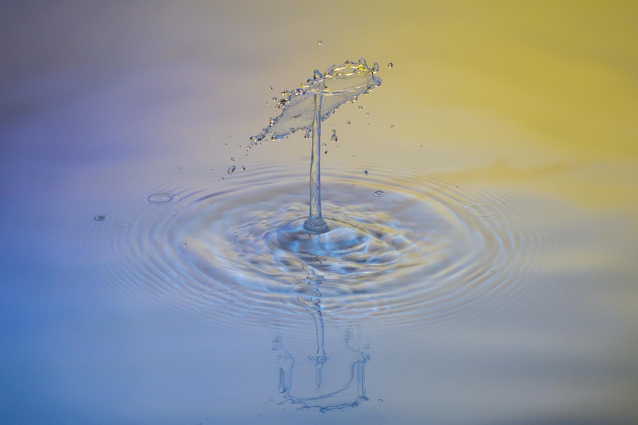 Drops, water, nature — How Bscscan Empowers Smart Crypto Investments